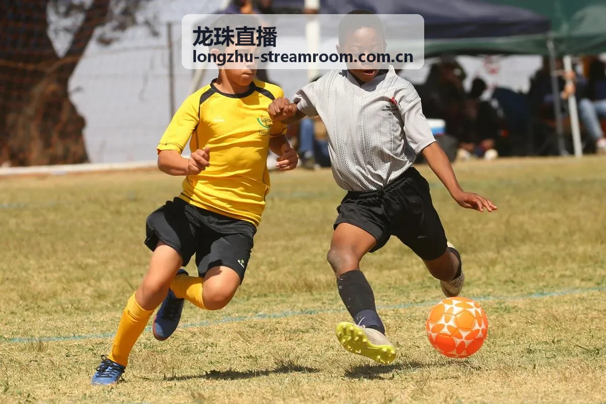 龙珠直播户外主播极客老周进行户外露营直播